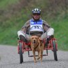 Rennen Weinfelden